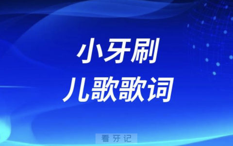 小牙刷儿歌歌词