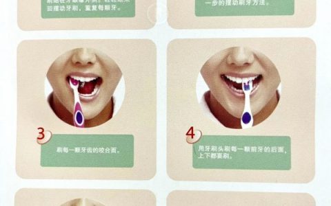 正确刷牙教学图片（真人版）