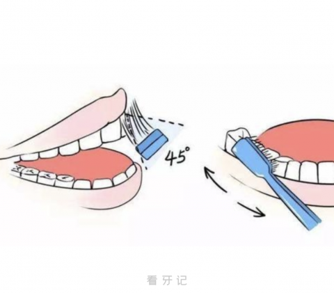 国际公认的刷牙方法是哪种？答案来了