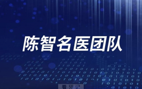 厦门医学院**陈智名医团队介绍