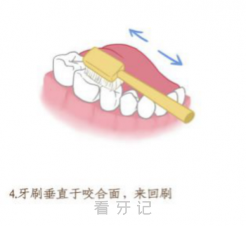 巴氏刷牙法分步骤高清图片