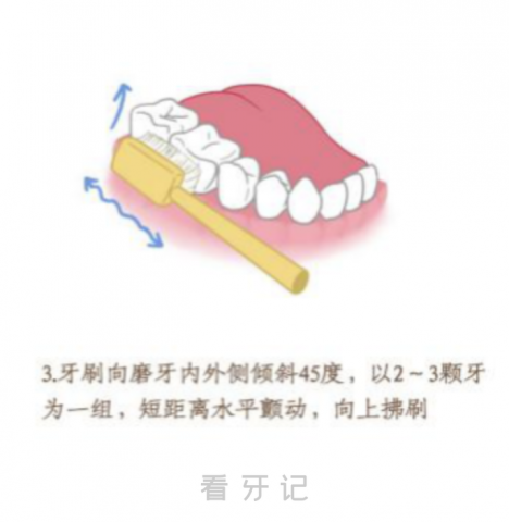 巴氏刷牙法分步骤高清图片