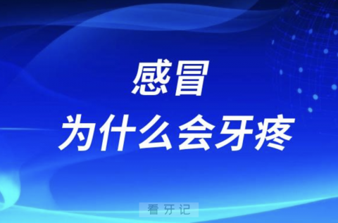 感冒为什么会牙疼？太疼了！疼的睡不着觉！