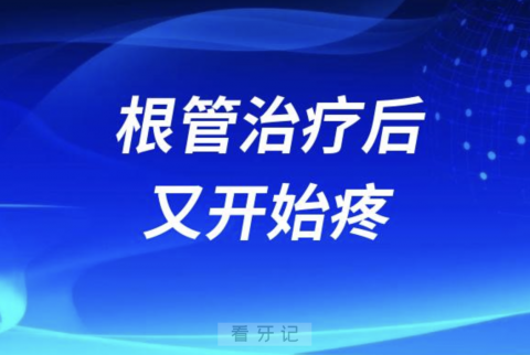 根管治疗一段时间后又开始疼怎么办？最新解读来了