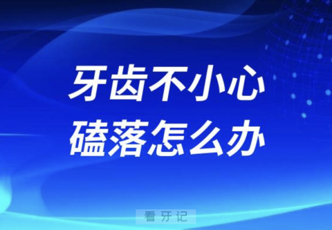 牙齿不小心磕落怎么办？