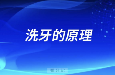 洗牙的原理是怎么样的？最新解读来了！