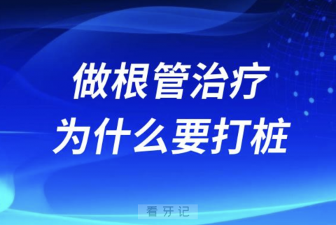 良心牙医告诉你做根管治疗为什么要打桩