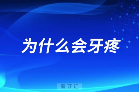 良心牙医告诉你为什么会牙疼