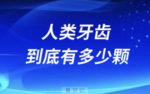 人类的牙齿到底有多少颗？最新解读来了