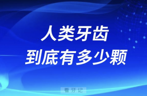 人类的牙齿到底有多少颗？最新解读来了