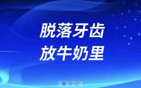 良心牙医十大忠告之脱落牙齿放牛奶里
