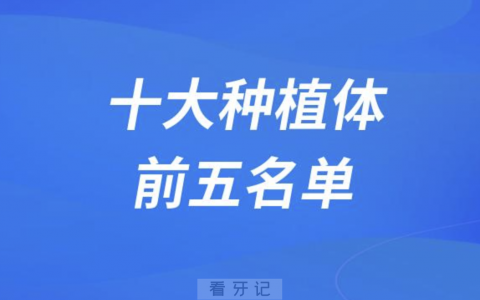 价格实惠经济适用型十大种植体前五名单