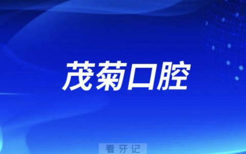 茂菊口腔2024年端午节放假通知