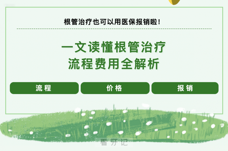根管报销攻略！根管治疗太贵？不同牙齿价位表 + 医保报销攻略，看完心里有底！根管治疗费用多少？根管治疗报销比例多少？附根管治疗流程