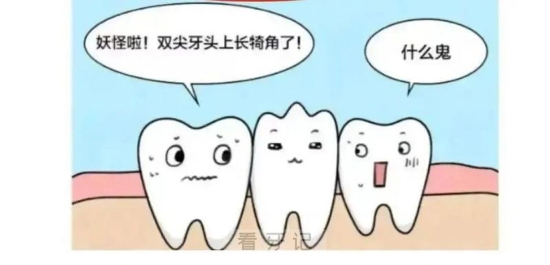 牙科医生说我的牙齿有畸形中央尖是什么意思？危害和后遗症大不大？