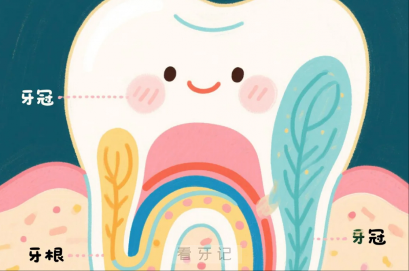 两百卖两千？牙冠水太深了！揭秘1k-5k的牙冠差价的真相！一颗牙冠到底多少钱？医保能报销吗？附烤瓷/全瓷优缺点+最近品牌价格表，做牙冠必看！